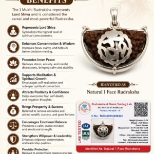 Rudraksha best sellings product Mystic Nakshatra